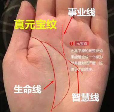 面相大师解析手相元宝纹图解人生运势