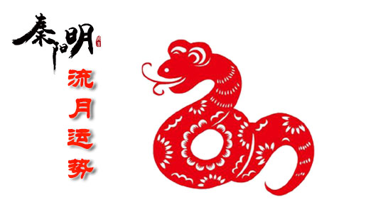 算命大师讲解属蛇人2020全年流月运势