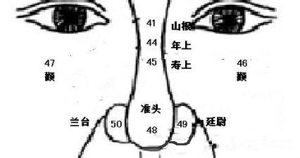 八字命理解说:鼻子之象