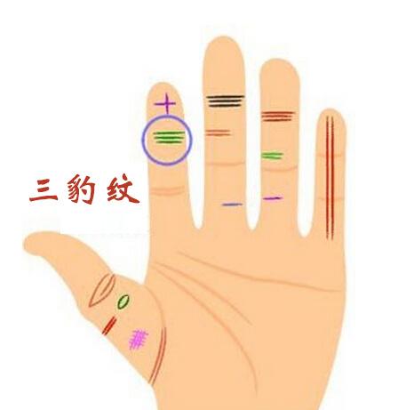 风水大师秦阳明谈和财运有关的手指线纹介绍