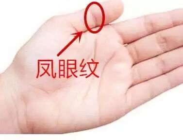 风水大师秦阳明谈和财运有关的手指线纹介绍