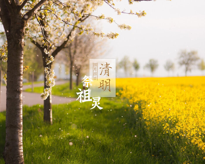 风水大师提醒清明节有哪些忌讳?
