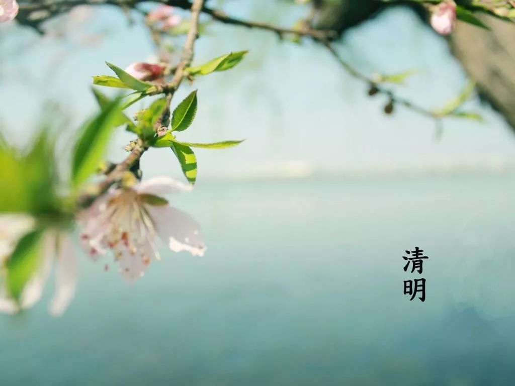 风水大师提醒清明节有哪些忌讳?