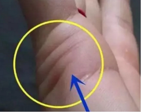 手相解析:什么样的婚姻线会导致婚姻不顺?