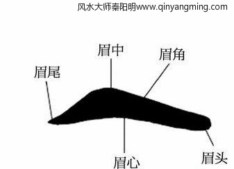 眉毛上怎么看婚姻事业和财运