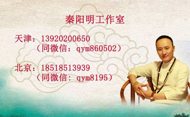 秦阳明联系方式