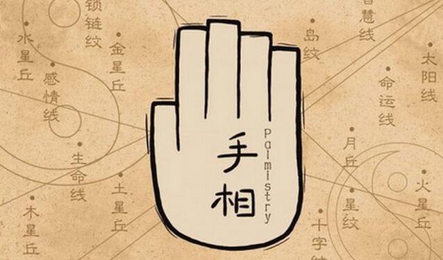 智慧线末端有向上的分叉