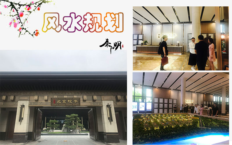 天津风水大师秦阳明分析家里的财位分别在哪个方位