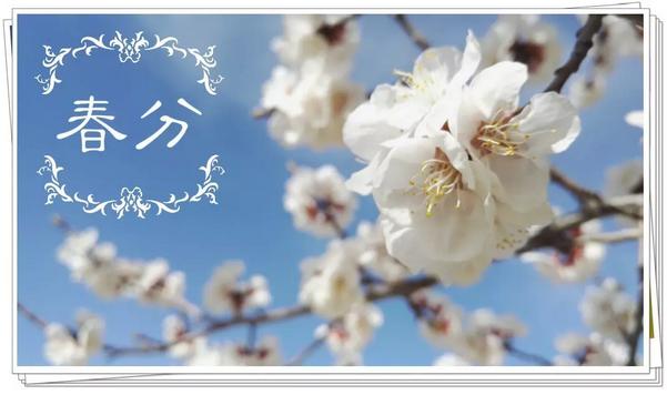 天津风水大师秦阳明讲解春分有哪些禁忌事项?