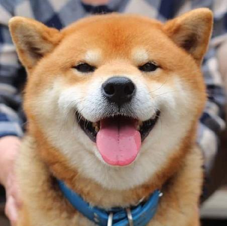 如何从舌头看人性格、运势?