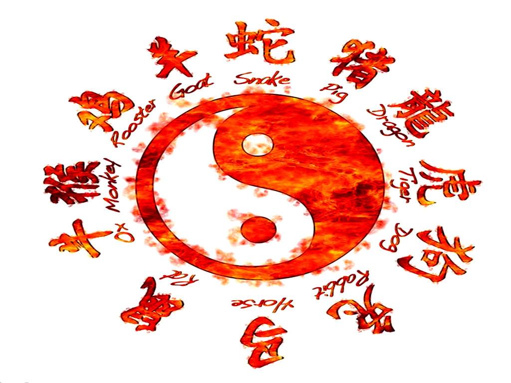 中国周易大师秦阳明讲解十二生肖谁性格最暴躁