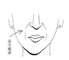 天津面相大师秦阳明分析有利福分的法令纹面相