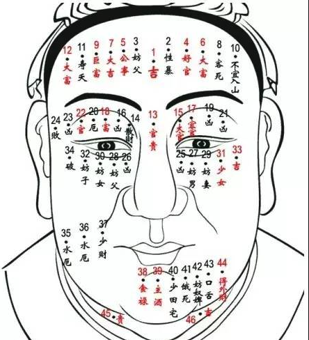 中国算命大师面部痣图解大全