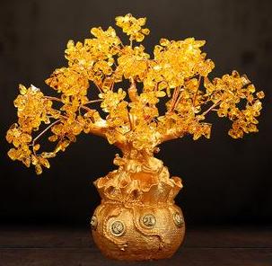 天津风水大师秦阳明介绍常用发财树有哪些?