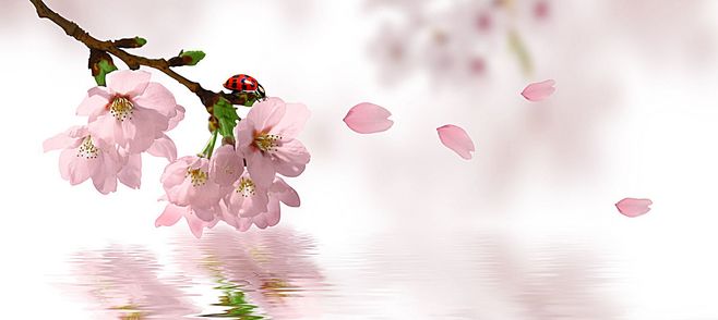 咸池是什么意思