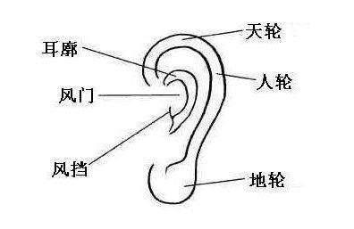 五官各种细节代表怎样的命运