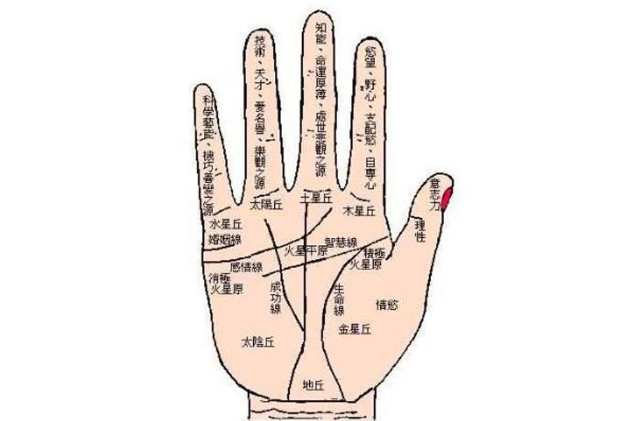 手相分析:婚姻中易出现危机的手部特征