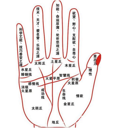 周易大师告诉你拇指的柔硬厚薄代表什么？
