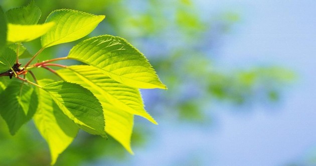 长治十大最好的算命高人最新榜马人2023年运势详解 2023年属马的大灾之年