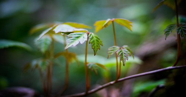 属牛买房楼层最好的是第几层 属牛的楼层选择几楼好