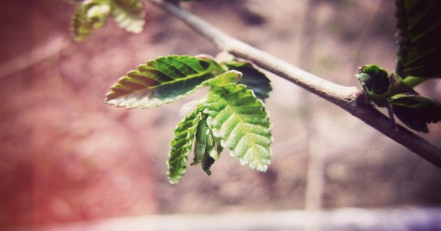 泽风大过卦如何破解 泽风大过卦解