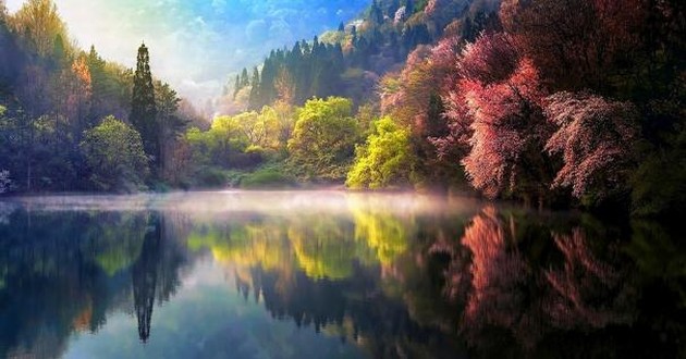 80年属猴42岁有个劫 属猴今年下半年感情婚姻如何