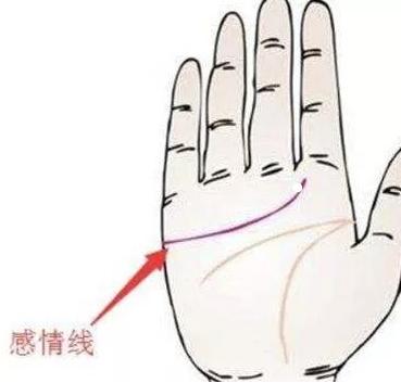 ?手相可是能看出自己好不好色