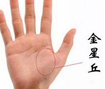 金星丘丰满的人 金星丘丰满的人