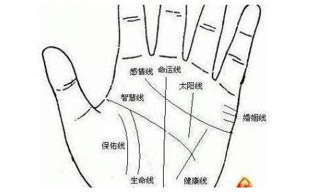 掌纹中没有健康线是身体不健康的表现吗? 掌纹中没有健康线是身体不健康的表现吗?