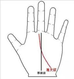 通天纹
