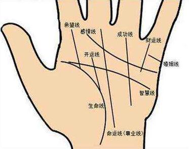 请问手掌上哪一条是财运线? 请问手掌上哪一条是财运线?
