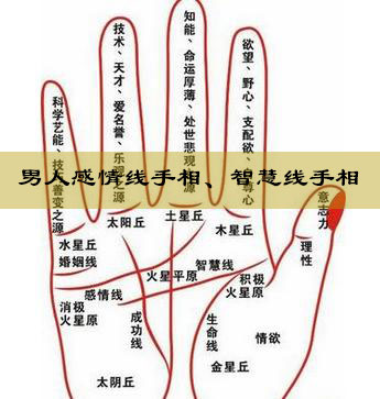 男人感情线手相、智慧线手相 男人感情线手相、智慧线手相