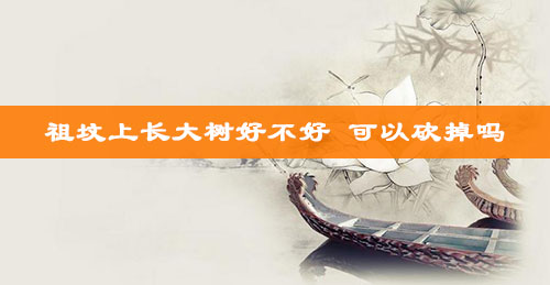 祖坟上长大树好不好 可以砍掉吗 祖坟上长大树好不好 可以砍掉吗