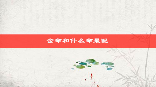 金命和什么命最配