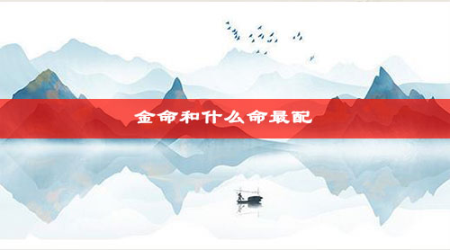 金命和什么命最配