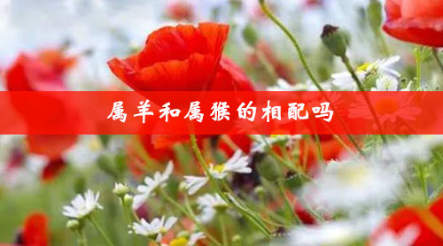 属羊和属猴的相配吗 属羊和属猴的相配吗