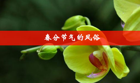 wenzhangimg3.jpg