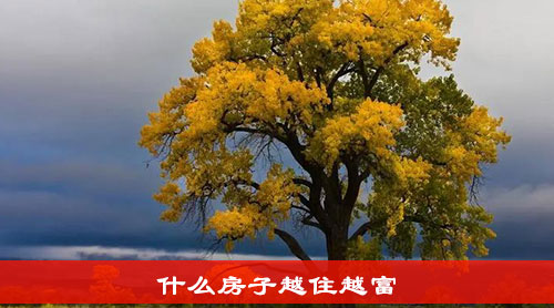 什么房子越住越富