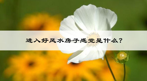 进入好风水房子感觉是什么?