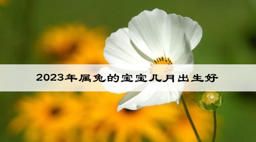2023年属兔的宝宝几月出生好 九月出生好吗 2023年属兔的宝宝几月出生好 九月出生好吗