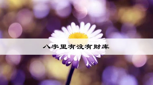 八字里有没有财库