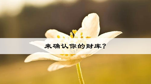 来确认你的财库?