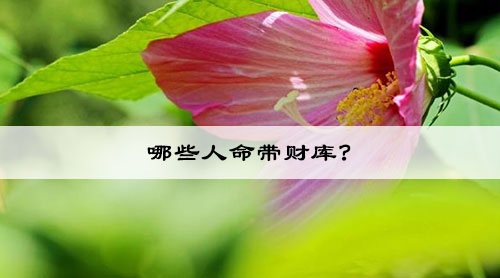 哪些人命带财库?