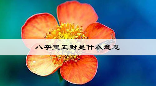 八字里正财是什么意思