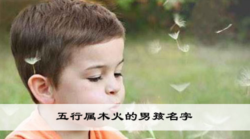 五行属木火的男孩名字