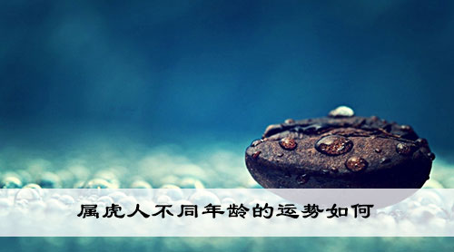 属虎人不同年龄的运势如何