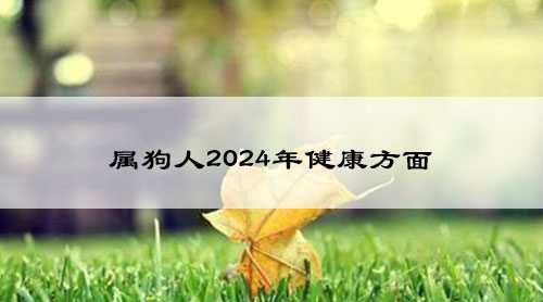 属狗人2024年健康方面