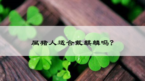 属猪人适合戴麒麟吗?