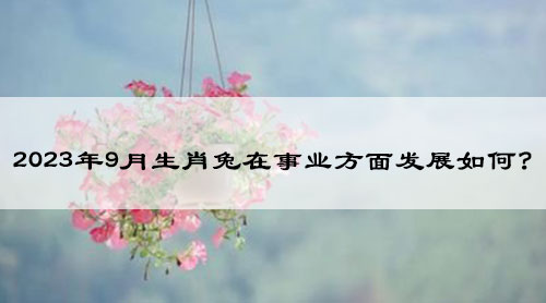 2023年9月生肖兔在事业方面发展如何?