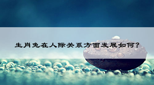 2023年9月生肖兔在人际关系方面发展如何?